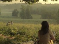 How the Sunrise Film Might (or Should) Tell Haymitch’s Story